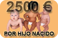 Ayuda 2500 eruos por hijo nacido o adoptado