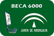 Beca 6000