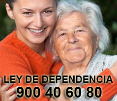 Ley de Dependencia