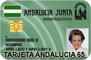 Tarjeta Andalucía 65