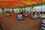 images/40.jpg