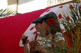 images/26.jpg