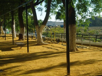 Rehabilitación Parque Alcalde Antonio Ferrete 6